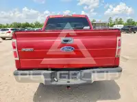 2009 Ford F-150 photo