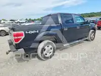 2009 Ford F-150 photo