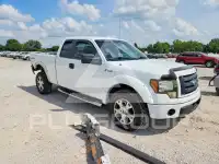 2009 Ford F-150 photo