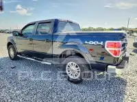 2009 Ford F-150 фото