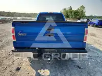 2009 Ford F-150 фото