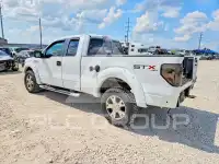 2009 Ford F-150 photo