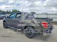 2009 Ford F-150 photo