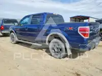 2009 Ford F-150 фото