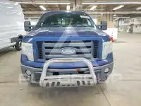 2009 Ford F-150 фото