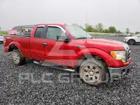 2009 Ford F-150 фото