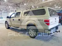 2009 Ford F-150 photo