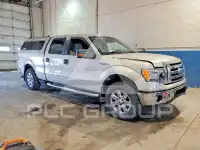 2009 Ford F-150 photo