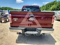 2009 Ford F-150 фото