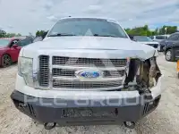 2009 Ford F-150 фото