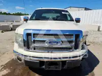 2009 Ford F-150 photo