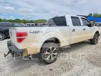 2009 Ford F-150 фото