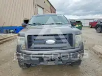 2009 Ford F-150 фото