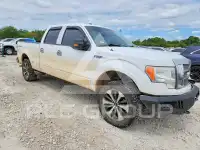 2009 Ford F-150 фото