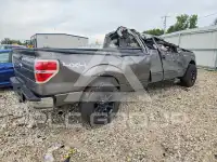 2009 Ford F-150 фото