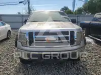 2009 Ford F-150 фото