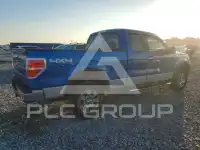 2009 Ford F-150 photo
