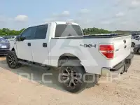 2009 Ford F-150 photo