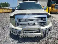 2009 Ford F-150 фото