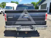 2009 Ford F-150 photo