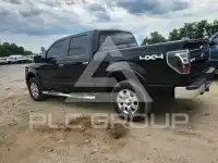 2009 Ford F-150 photo