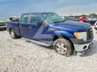 2009 Ford F-150 фото