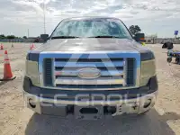 2009 Ford F-150 фото