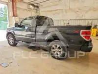 2009 Ford F-150 фото