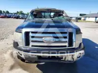 2009 Ford F-150 фото