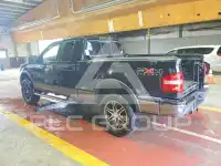 2009 Ford F-150 photo