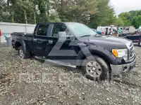 2009 Ford F-150 photo