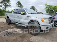 2009 Ford F-150 photo