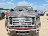 2009 Ford F-150 фото