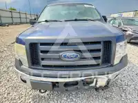 2009 Ford F-150 фото