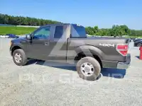 2009 Ford F-150 photo