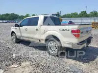 2009 Ford F-150 фото