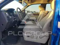 2009 Ford F-150 photo