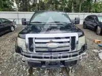2009 Ford F-150 photo