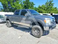 2009 Ford F-150 фото
