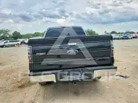 2009 Ford F-150 photo