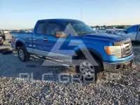 2009 Ford F-150 photo