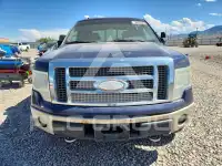 2009 Ford F-150 фото
