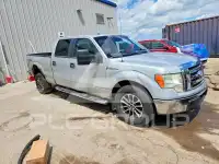 2009 Ford F-150 фото