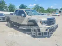 2009 Ford F-150 фото