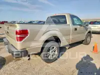 2009 Ford F-150 photo
