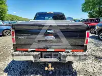 2009 Ford F-150 photo