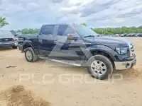 2009 Ford F-150 photo