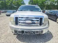2009 Ford F-150 photo