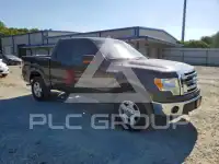 2009 Ford F-150 photo