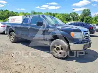 2009 Ford F-150 photo
